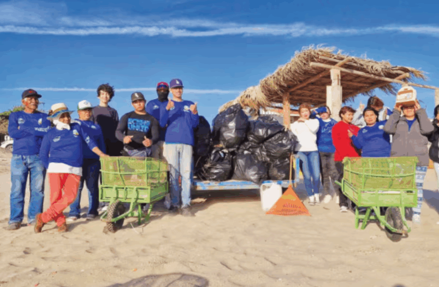 Inicia Credespa jornadas de limpieza en playas de Bahía de Kino