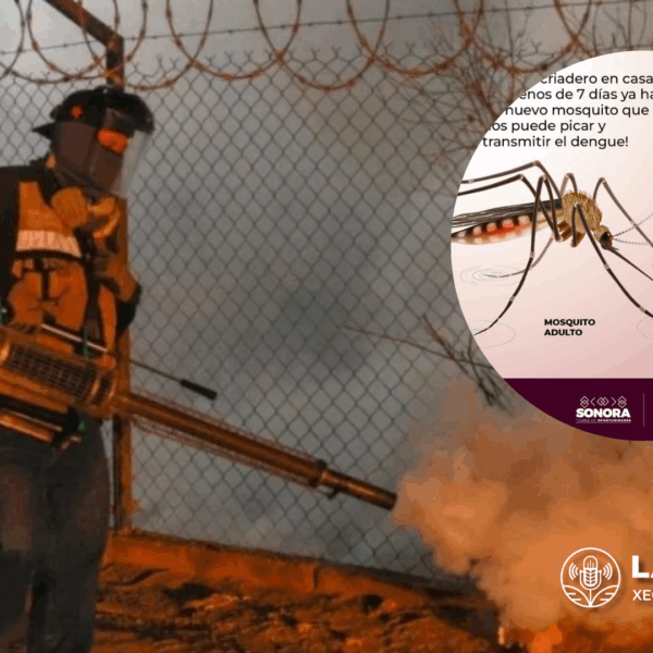 Confirman Cinco Defunciones por Dengue en Sonora Durante 2025