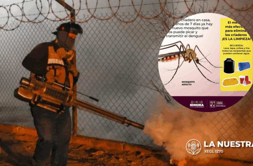 Confirman Cinco Defunciones por Dengue en Sonora Durante 2025