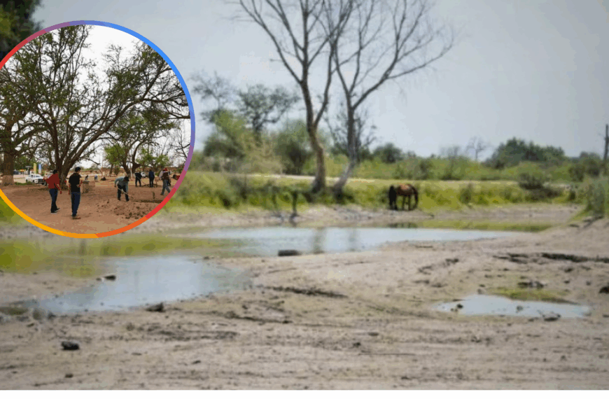 Buscan rescatar Río Mayo con reforestación social