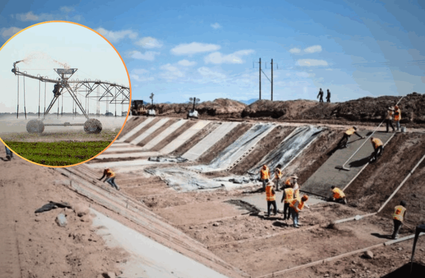 Tecnificarán miles de hectáreas agrícolas en Sonora