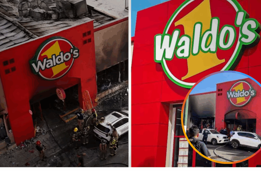 Incendio en Waldos: avanzan procesos penales en Hermosillo