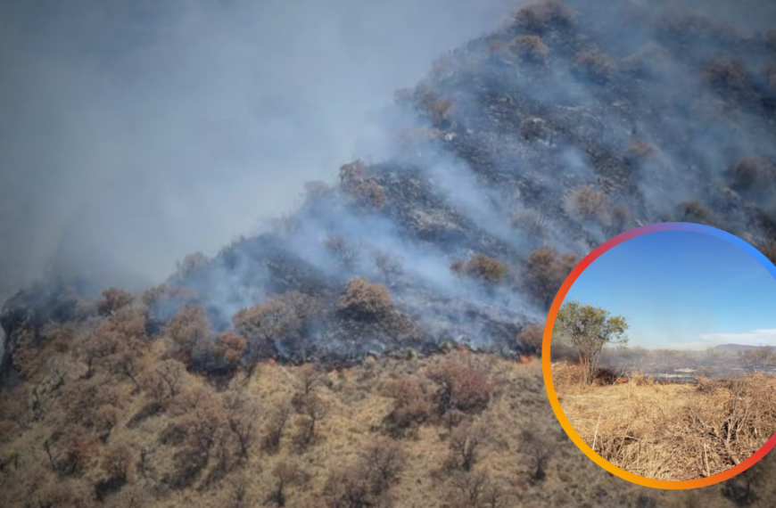 Incendios en la sierra de Álamos: llaman a prevenir tras 30 siniestros