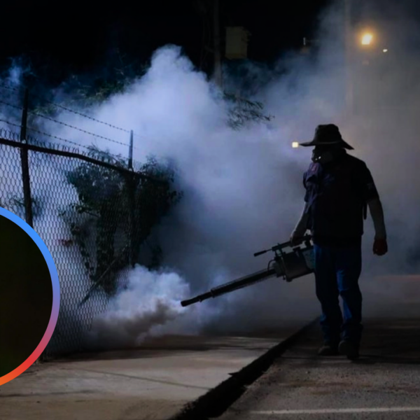 Invierno sin frío mantiene reproducción del mosquito del Dengue