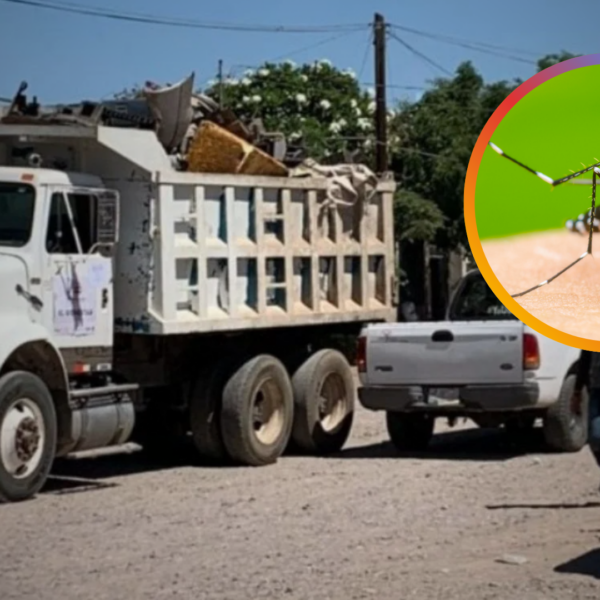 Navojoa realizará mega jornada de descacharre contra el dengue