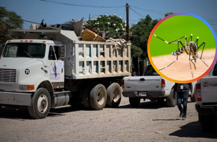 Navojoa realizará mega jornada de descacharre contra el dengue