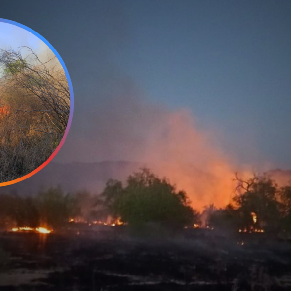 Incendio forestal arrasa 150 hectáreas en Tetapochi, al norte de Álamos