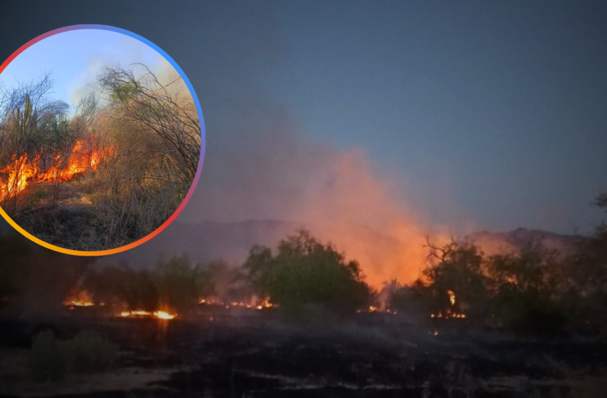 Incendio forestal arrasa 150 hectáreas en Tetapochi, al norte de Álamos