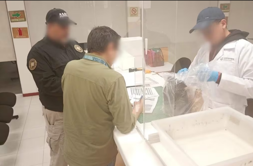 Médico ligado a sueros vitaminados en Sonora es identificado; permanece prófugo con 6 muertes en el caso