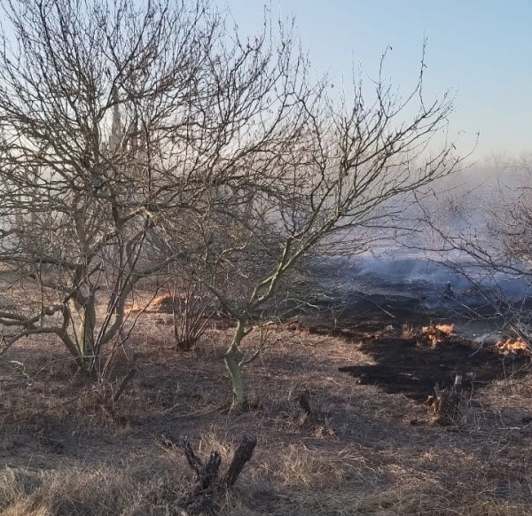 Alertan por posible aumento de incendios forestales en Navojoa ante condiciones climáticas de riesgo