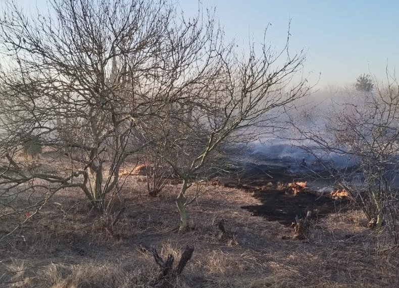 Alertan por posible aumento de incendios forestales en Navojoa ante condiciones climáticas de riesgo