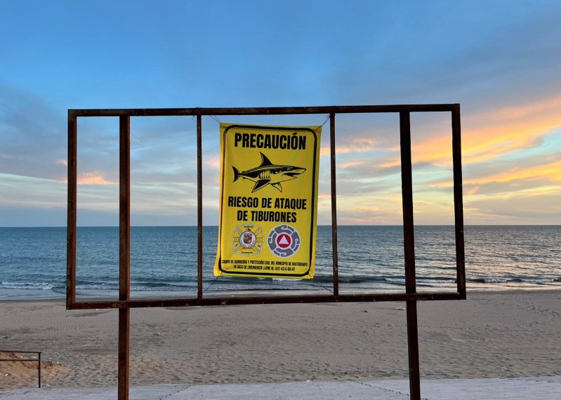 Refuerzan alertas en Huatabampito por avistamiento de tiburón cercano a la costa; instalan señalética de prevención