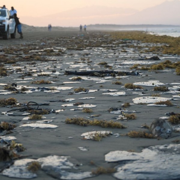 Pemex: fuga en ducto provocó derrame de hidrocarburo en el Golfo de México; ocultamiento de información y retraso en cierre de válvula