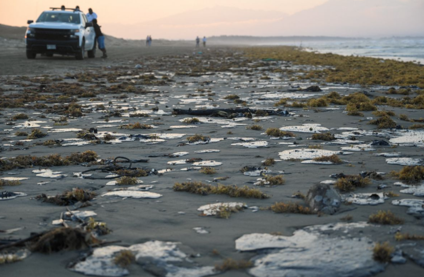 Pemex: fuga en ducto provocó derrame de hidrocarburo en el Golfo de México; ocultamiento de información y retraso en cierre de válvula