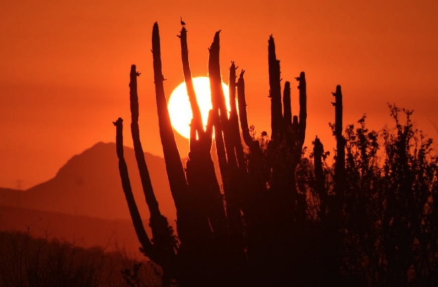 Señalan aumento inusual de temperaturas en diciembre en Sonora durante los últimos cinco años
