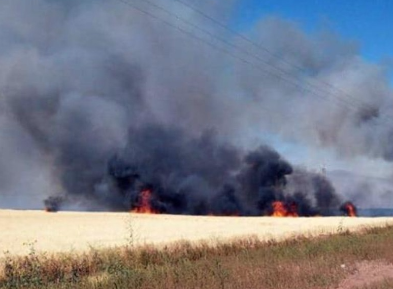 Multarán con 11 mil pesos por quemar gavilla en Valle del Yaqui