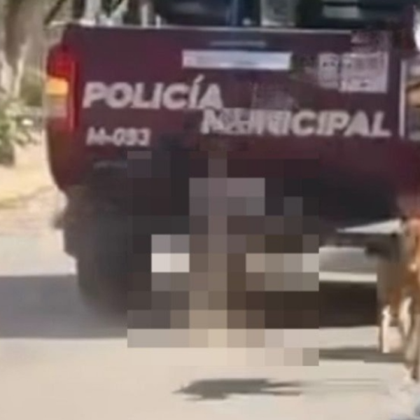 Policías arrastran cuerpo de perrito en calles de Puebla; autoridades piden disculpas