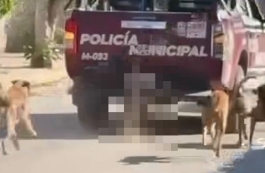 Policías arrastran cuerpo de perrito en calles de Puebla; autoridades piden disculpas