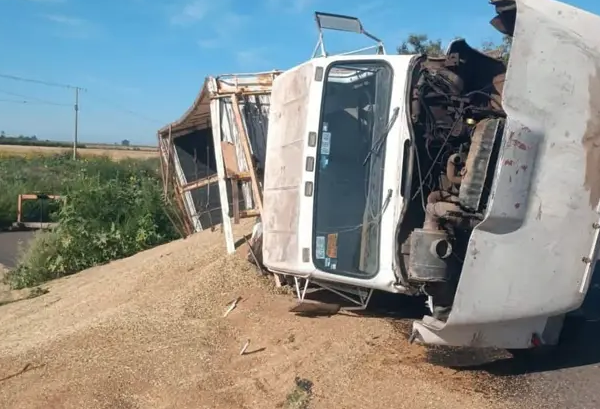 Vuelca tractocamión cargado de trigo en carretera de Navojoa