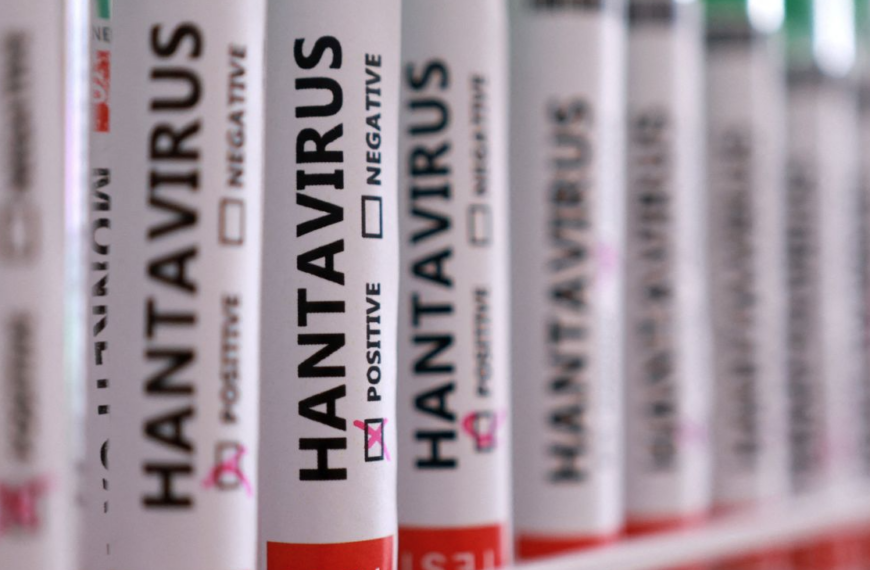OMS no excluye nuevos casos de hantavirus en próximos días o próxima semana