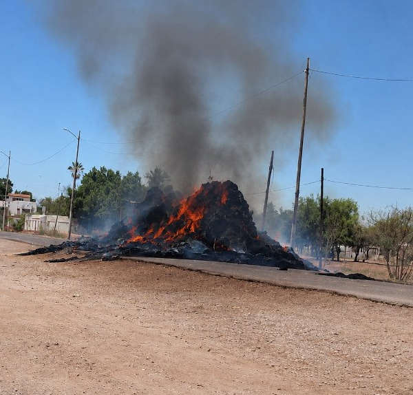 Se incendian 500 pacas de alfalfa y tractocamión en Las Playitas, Etchojoa