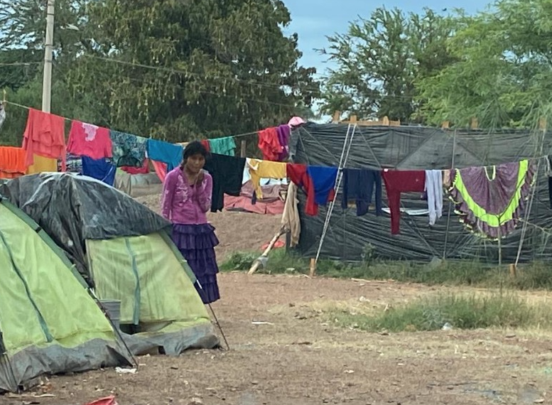 Jornaleros agrícolas en Pueblo Yaqui viven en casas de campaña sin servicios básicos