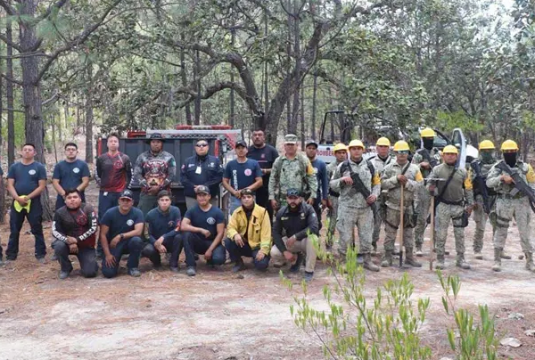 Ola de incendios arrasa la sierra de Álamos