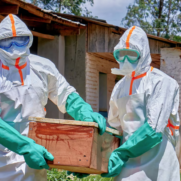 Jalisco activa blindaje sanitario de emergencia por brote de ébola en África de cara al partido de Congo en el Estadio Akron