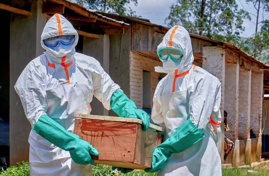 Jalisco activa blindaje sanitario de emergencia por brote de ébola en África de cara al partido de Congo en el Estadio Akron