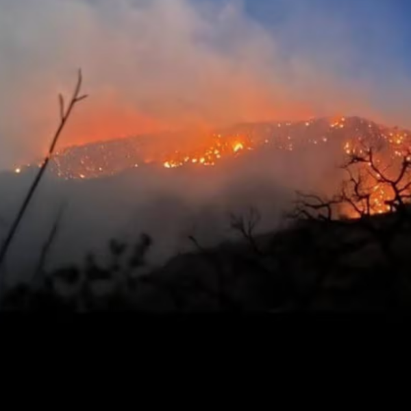 Combaten incendio en sierra de Tarachi que afecta más de mil 202 hectáreas