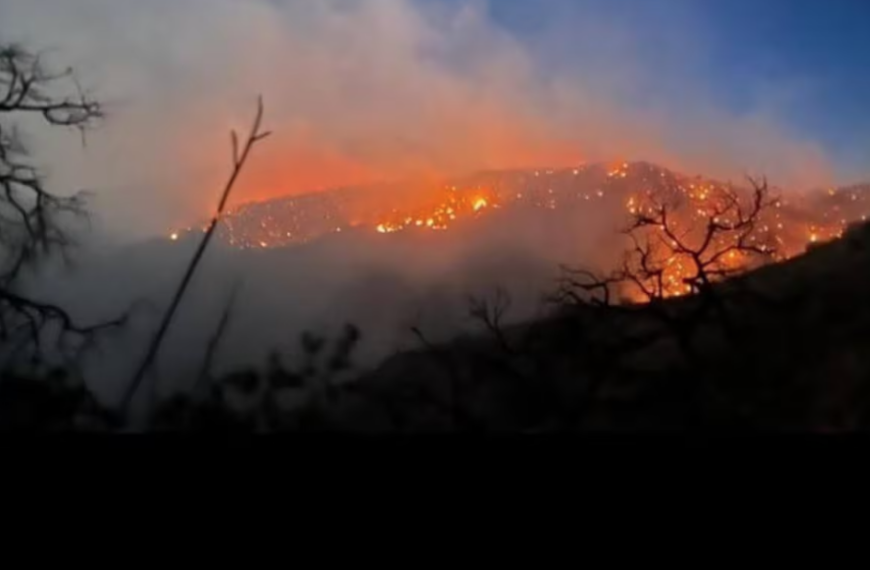 Combaten incendio en sierra de Tarachi que afecta más de mil 202 hectáreas