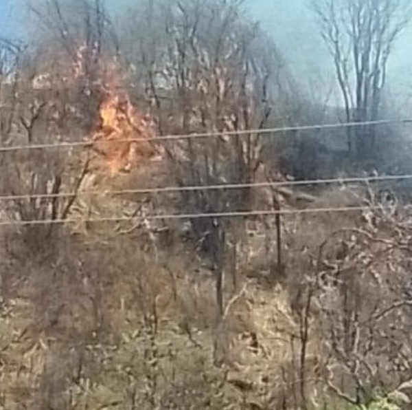 Infierno en Chorijoa: incendio forestal devora 55 hectáreas