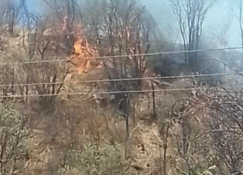 Infierno en Chorijoa: incendio forestal devora 55 hectáreas