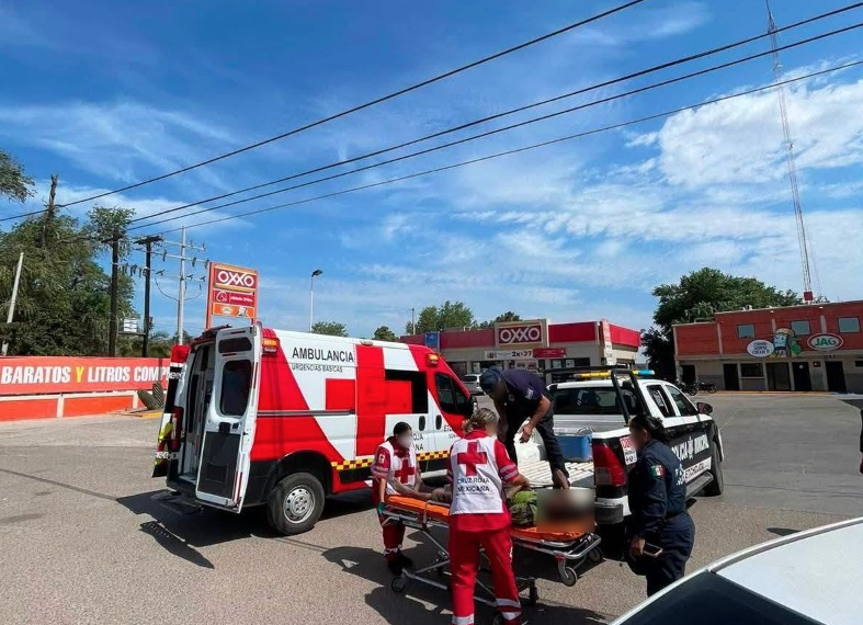 Ataque de abejas deja dos personas hospitalizadas en Etchojoa