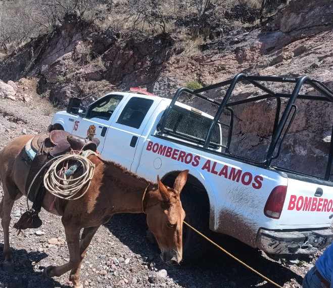 Ubican a grupo de personas que quedaron incomunicadas en la sierra de Álamos