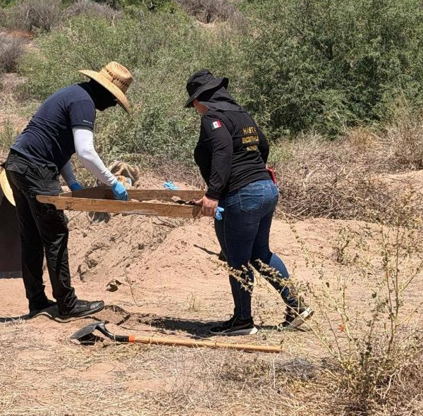 Da fruto búsqueda de madres buscadoras Huatabampo en Etchojoa