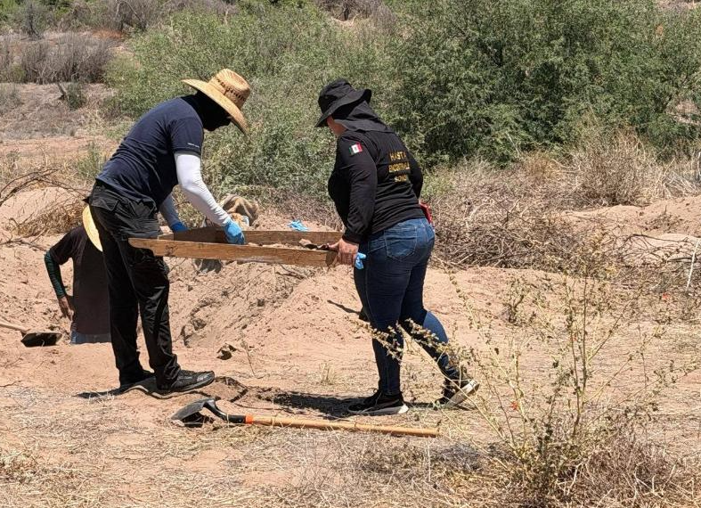 Da fruto búsqueda de madres buscadoras Huatabampo en Etchojoa