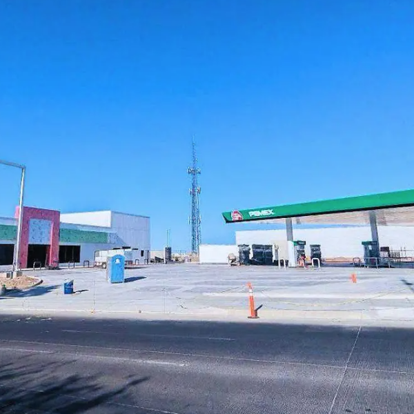 Ambientalistas denuncian tala de árboles por construcción de gasolinera en Hermosillo
