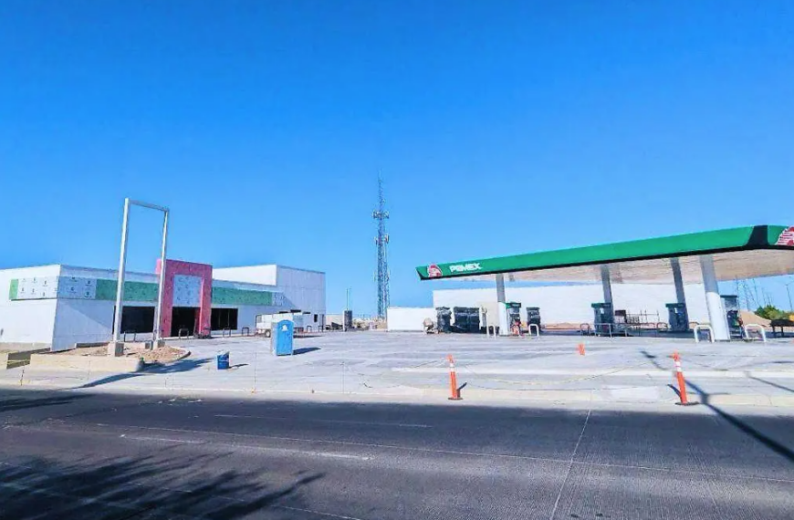 Ambientalistas denuncian tala de árboles por construcción de gasolinera en Hermosillo