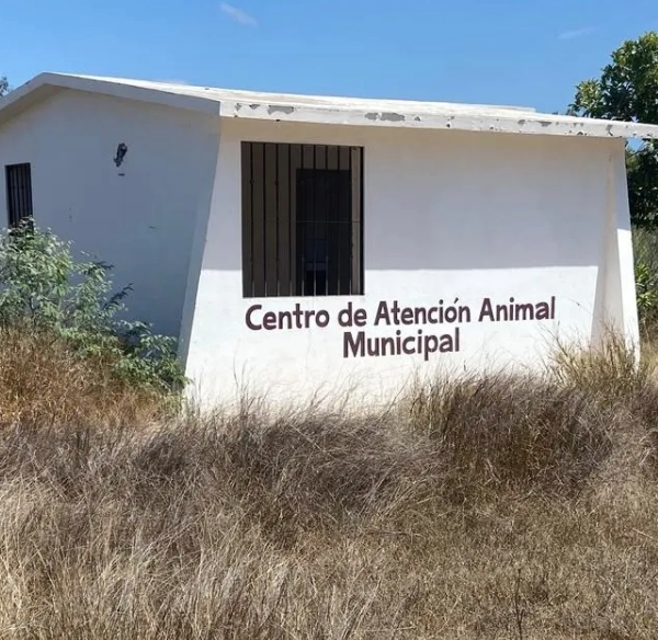 Donarán terreno del antiguo Centro Animal a la asociación ‘Milagro Canino’ en Navojoa