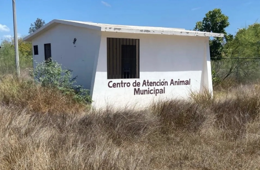 Donarán terreno del antiguo Centro Animal a la asociación ‘Milagro Canino’ en Navojoa