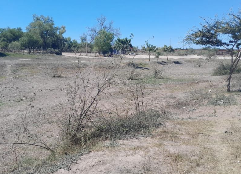 Tribu yoreme-mayo exige dotación permanente de agua para rescatar el Río Mayo