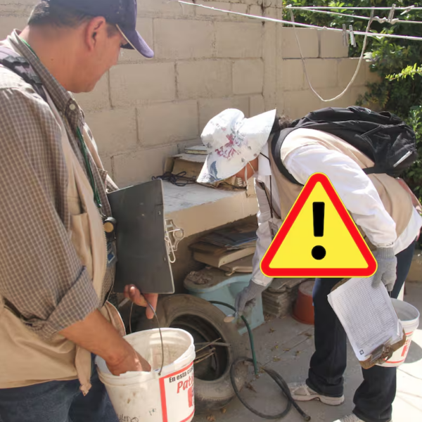Falsos brigadistas visitan viviendas en Sonora e intentan cobrar por detectar criaderos de mosquitos; Salud pide no caer en el engaño