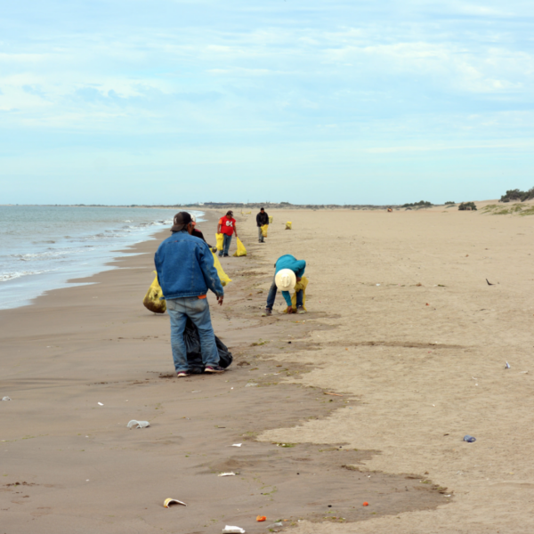 Huatabampito endurece medidas ante basura y desorden en la playa