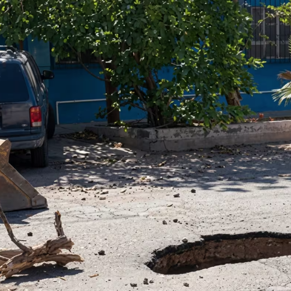 Dejan lluvias seis socavones y 62 árboles caídos en Ciudad Obregón